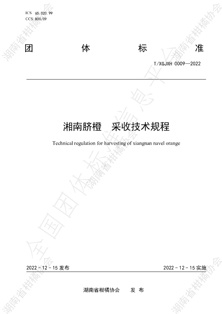 T/HNSGJXH 0009-2022 标准预览