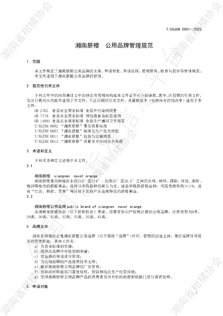 T/HNSGJXH 0001-2022 标准预览