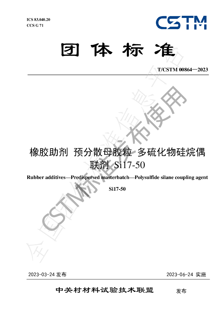 T/CSTM 00864-2023 标准预览