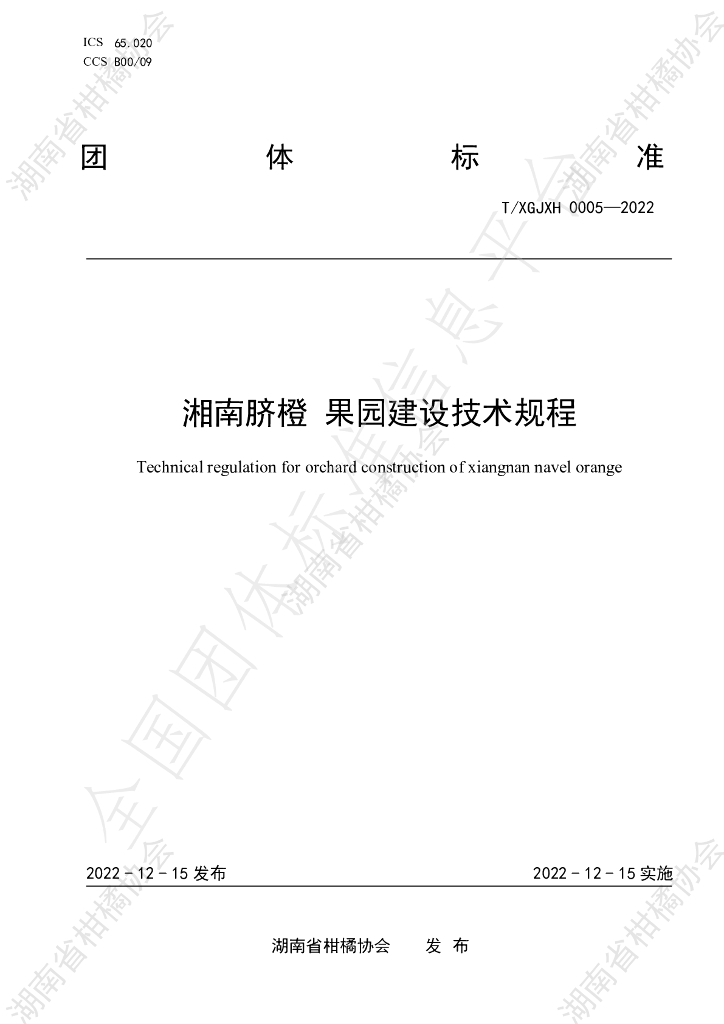 T/HNSGJXH 0005-2022 标准预览