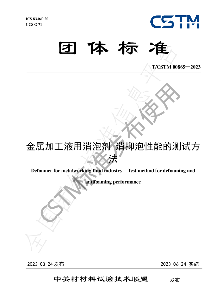 T/CSTM 00865-2023 标准预览