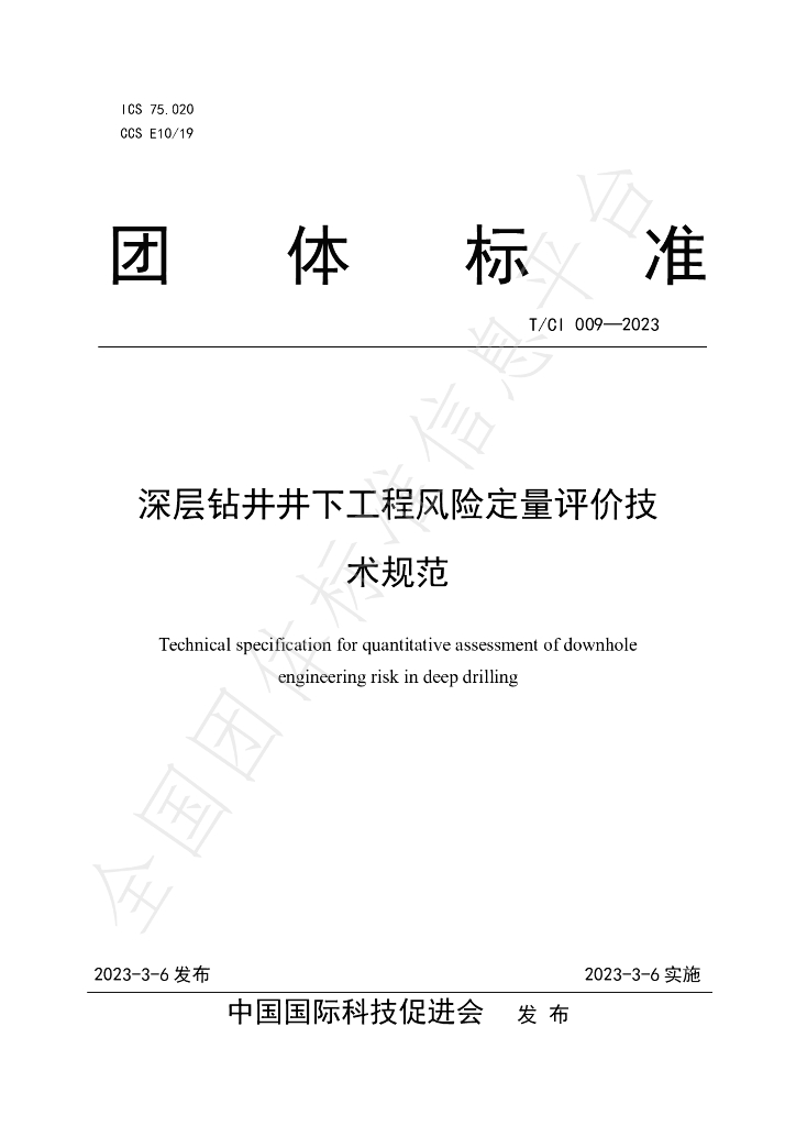 T/CI 009-2023 标准预览