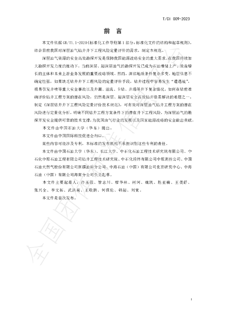 T/CI 009-2023 标准预览