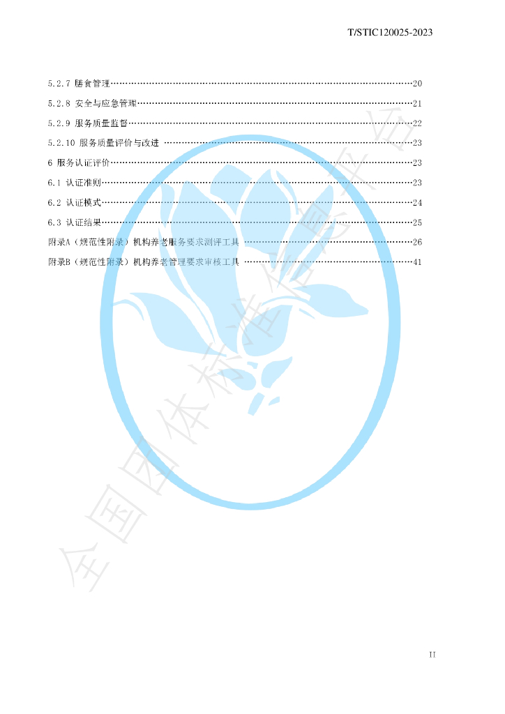 T/STIC 120025-2023 标准预览