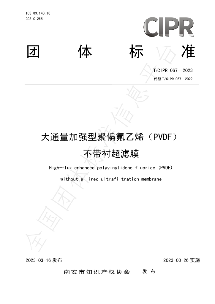 T/CIPR 067-2023 标准预览