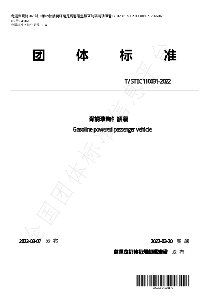 T/STIC 110031-2022 标准预览