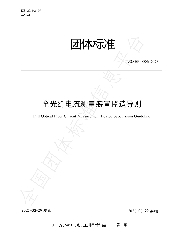 T/GSEE 0006-2023 标准预览