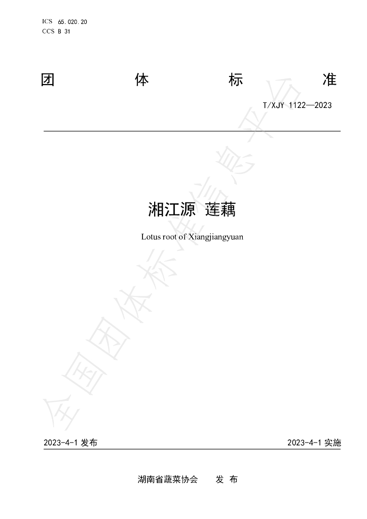 T/XJY 1122-2023 标准预览
