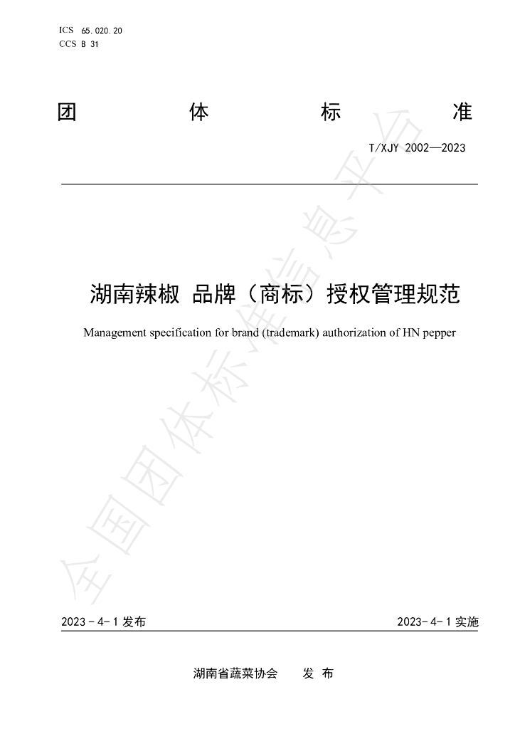 T/XJY 2002-2023 标准预览
