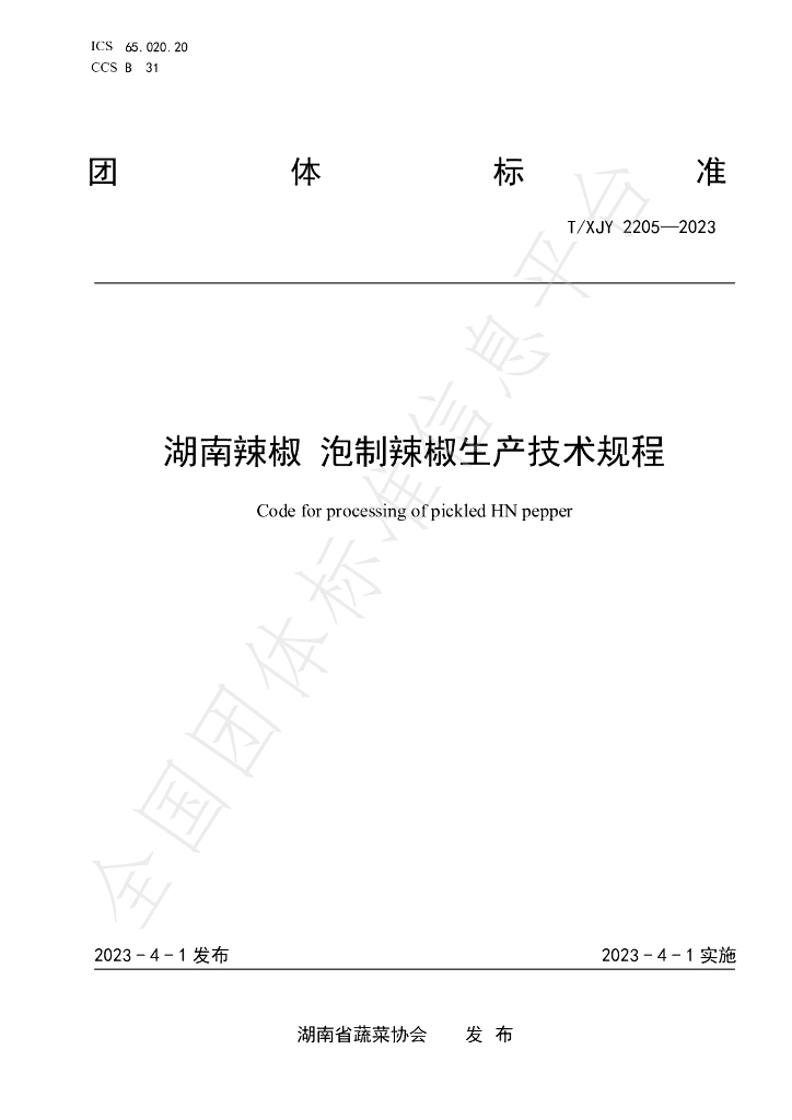 T/XJY 2205-2023 标准预览