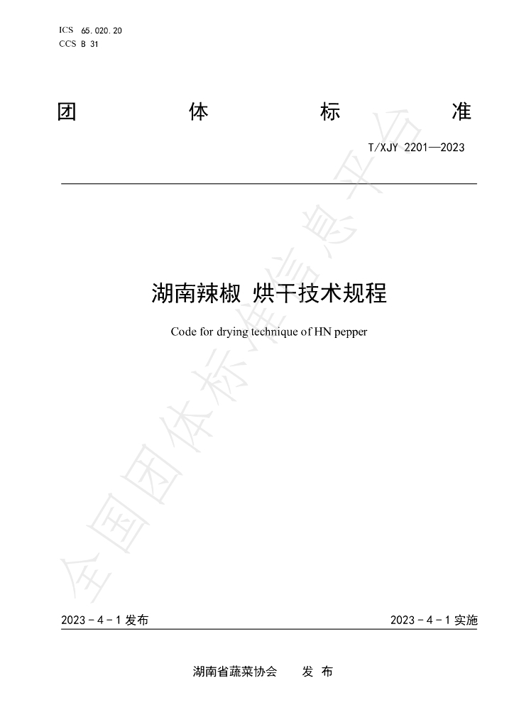 T/XJY 2201-2023 标准预览