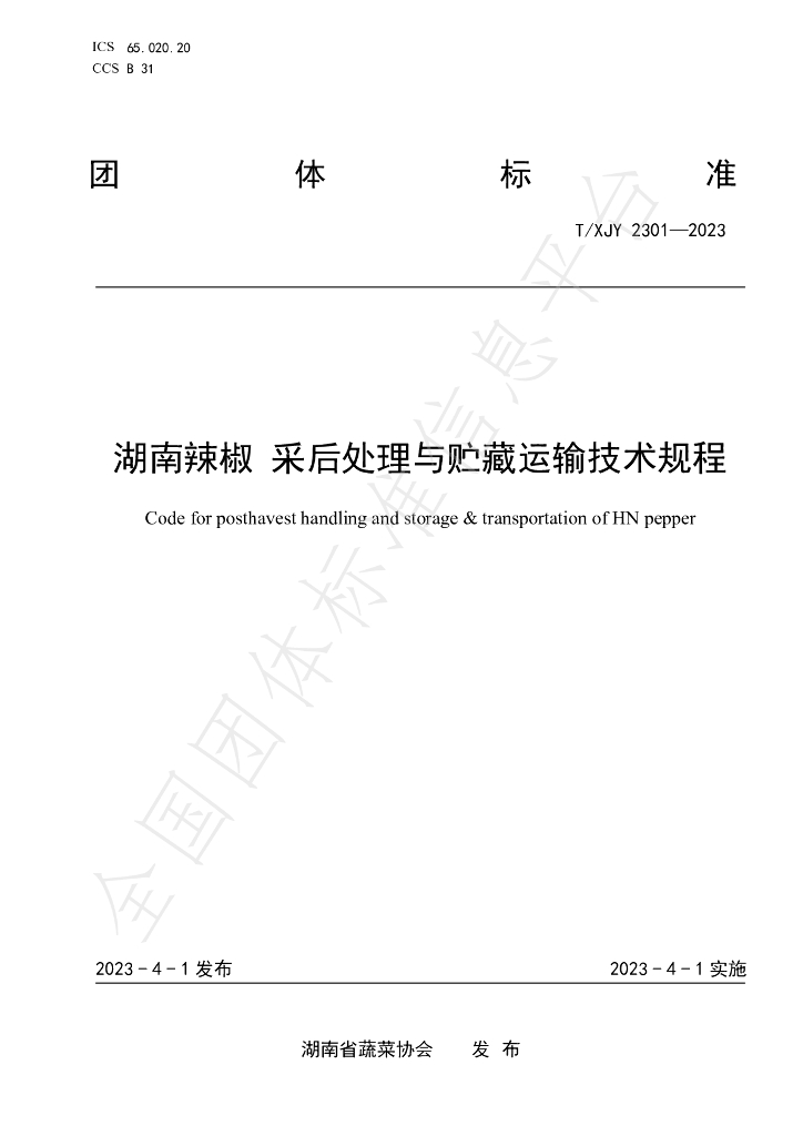 T/XJY 2301-2023 标准预览