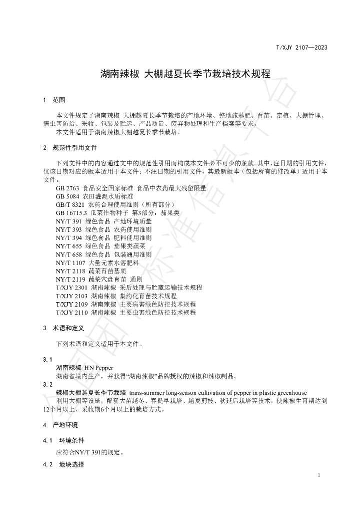 T/XJY 2107-2023 标准预览