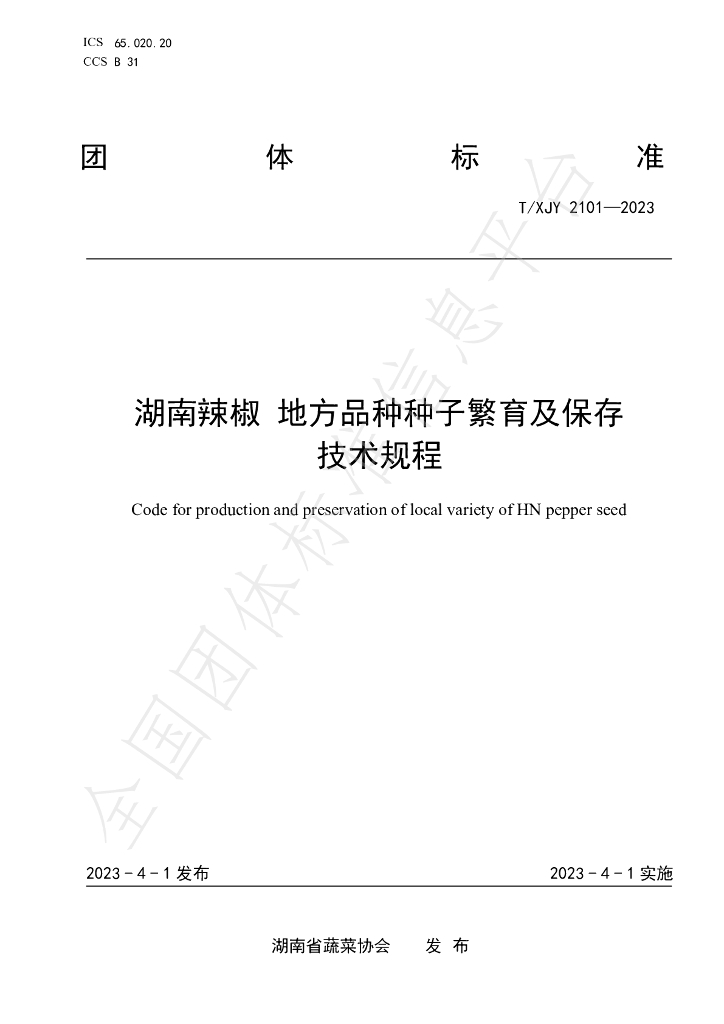 T/XJY 2101-2023 标准预览