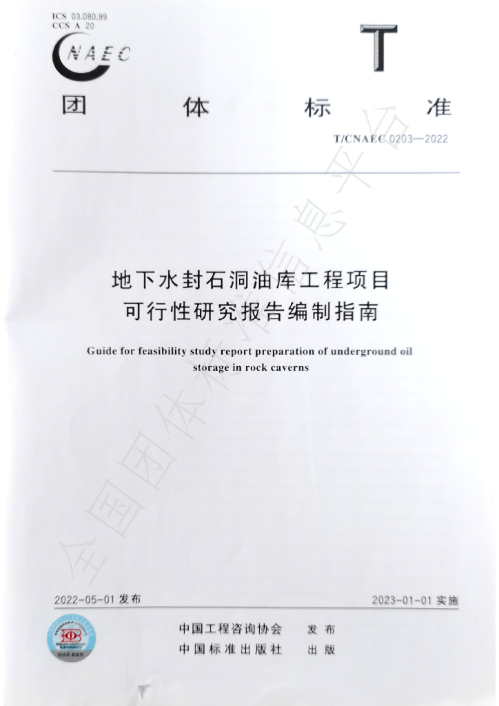 T/CNAEC 0203-2022 标准预览
