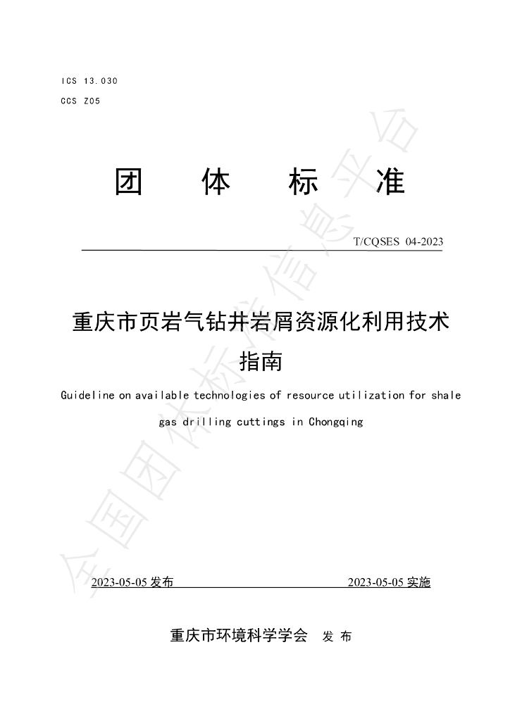 T/CQSES 04-2023 标准预览