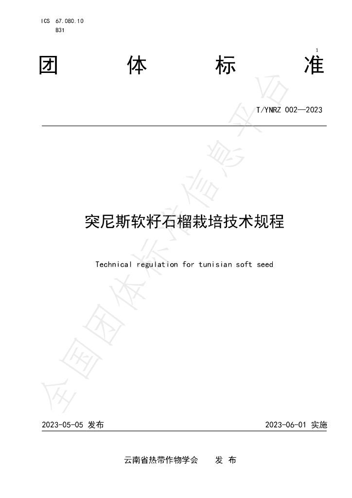 T/YNRZ 002-2023 标准预览