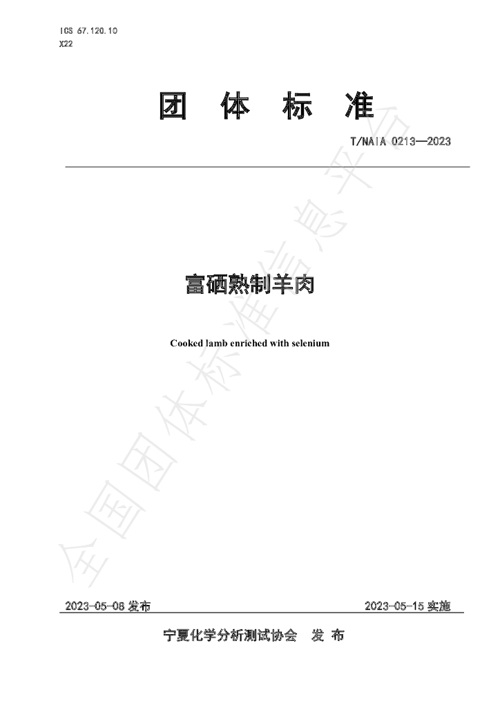 T/NAIA 0213-2023 标准预览