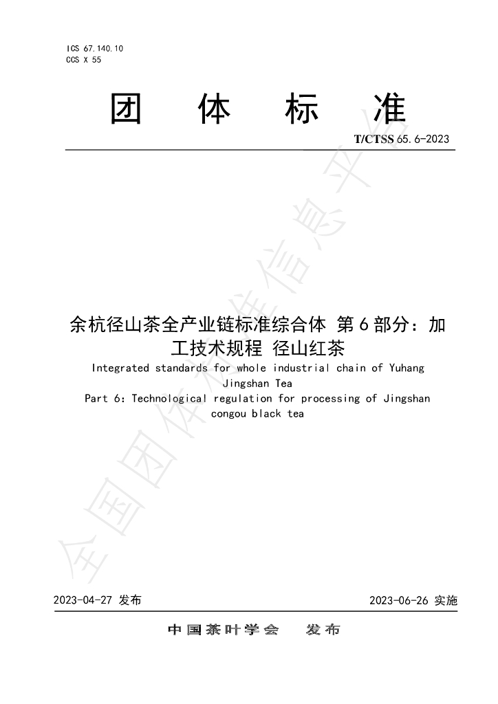 T/CTSS 65.6-2023 标准预览