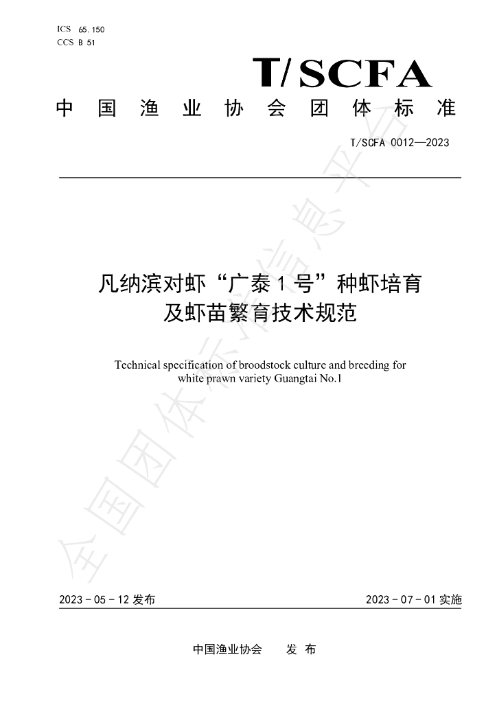 T/SCFA 0012-2023 标准预览