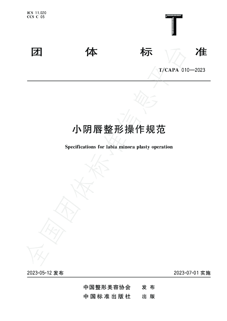 T/CAPA 010-2023 标准预览