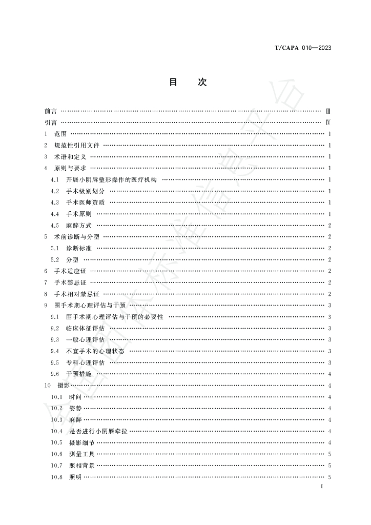 T/CAPA 010-2023 标准预览