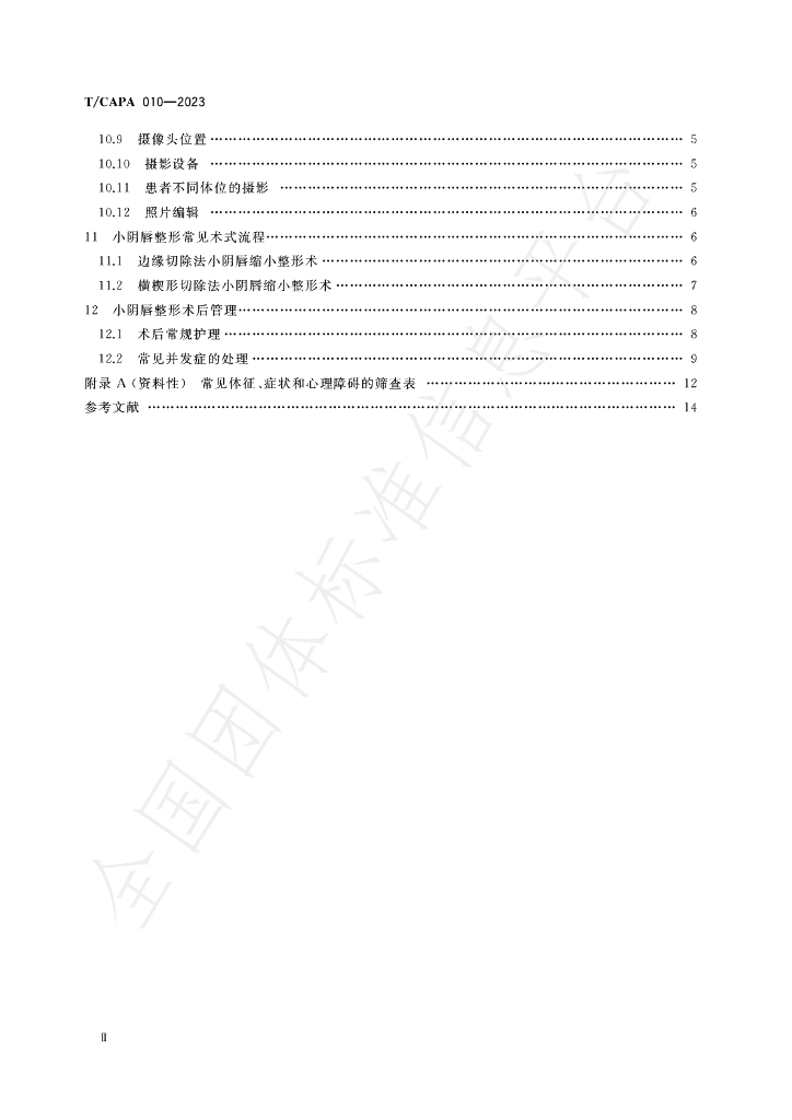 T/CAPA 010-2023 标准预览