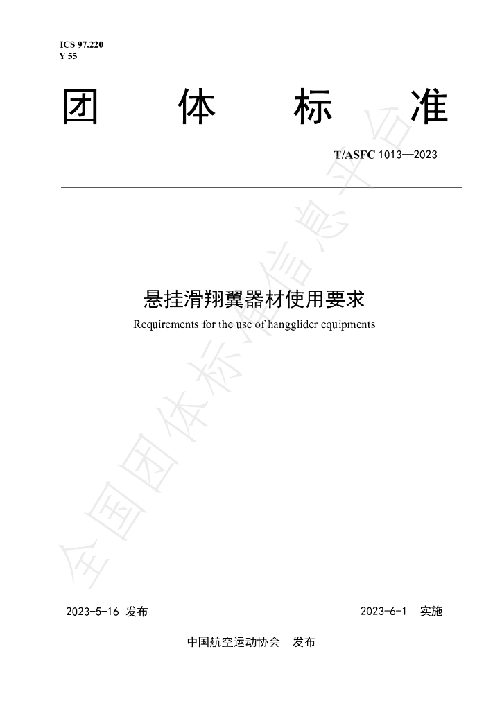 T/ASFC 1013-2023 标准预览