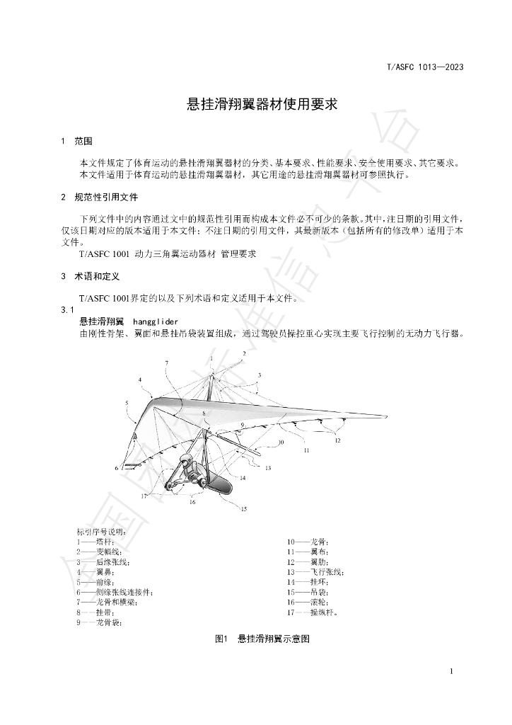 T/ASFC 1013-2023 标准预览