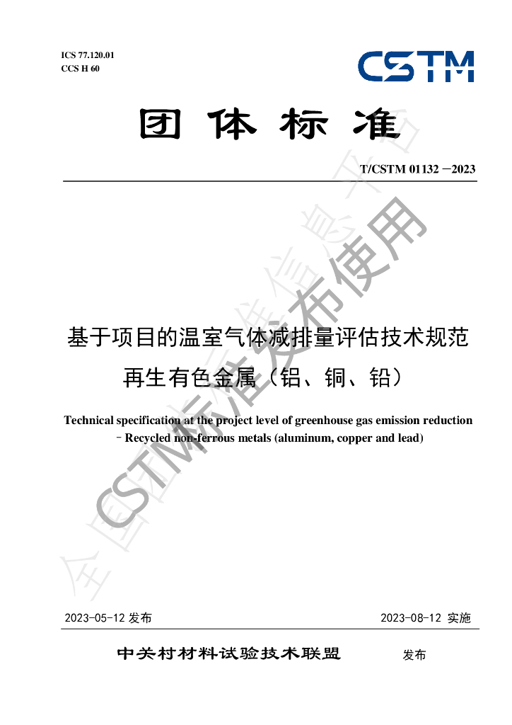 T/CSTM 01132-2023 标准预览