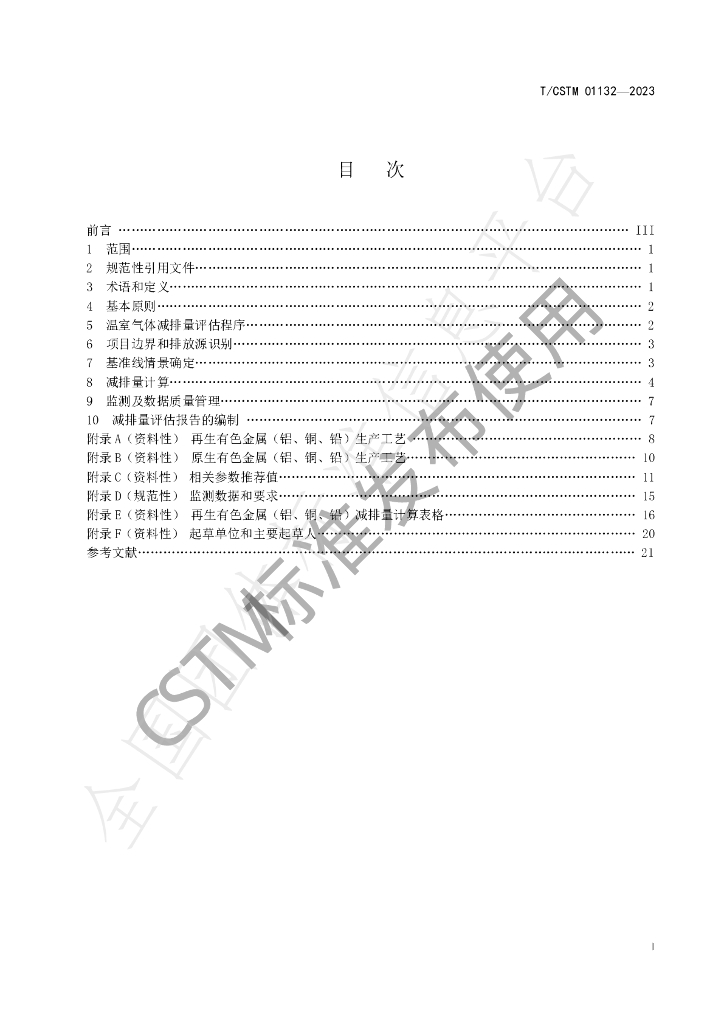 T/CSTM 01132-2023 标准预览