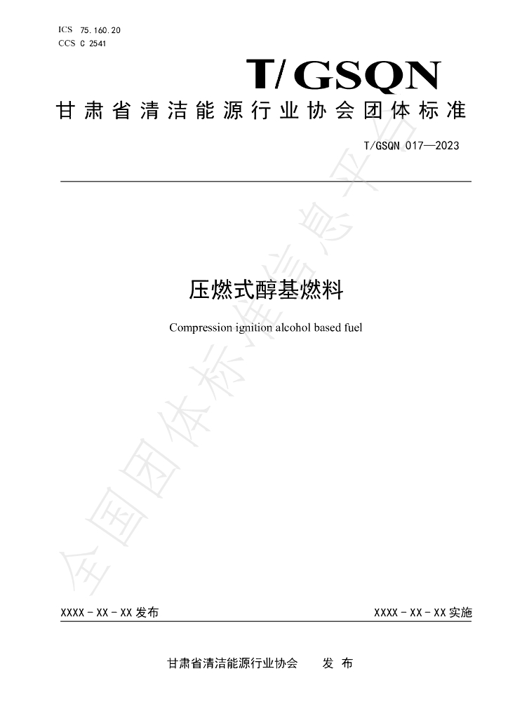 T/GSQN 017-2023 标准预览