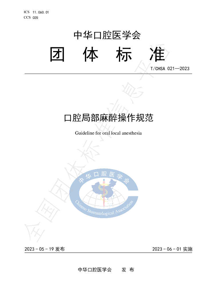 T/CHSA 021-2023 标准预览