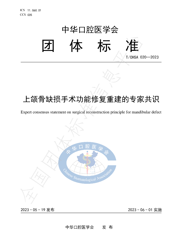T/CHSA 020-2023 标准预览