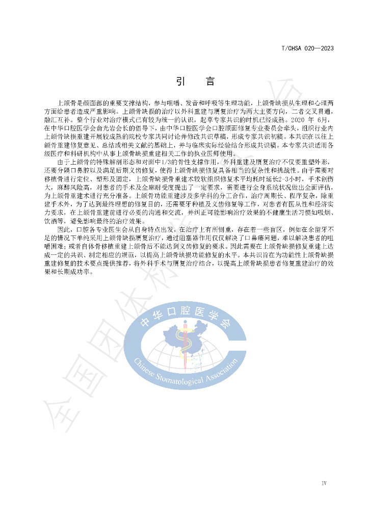 T/CHSA 020-2023 标准预览