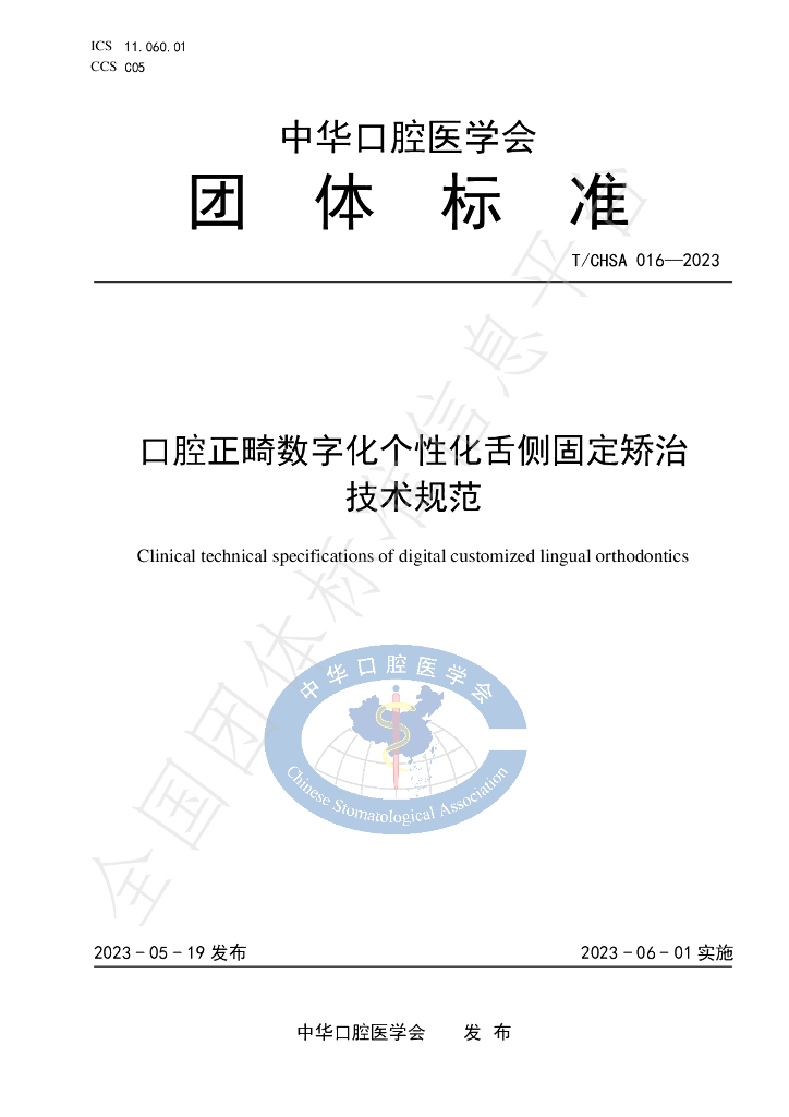 T/CHSA 016-2023 标准预览