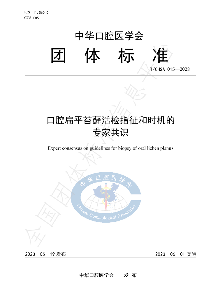 T/CHSA 015-2023 标准预览