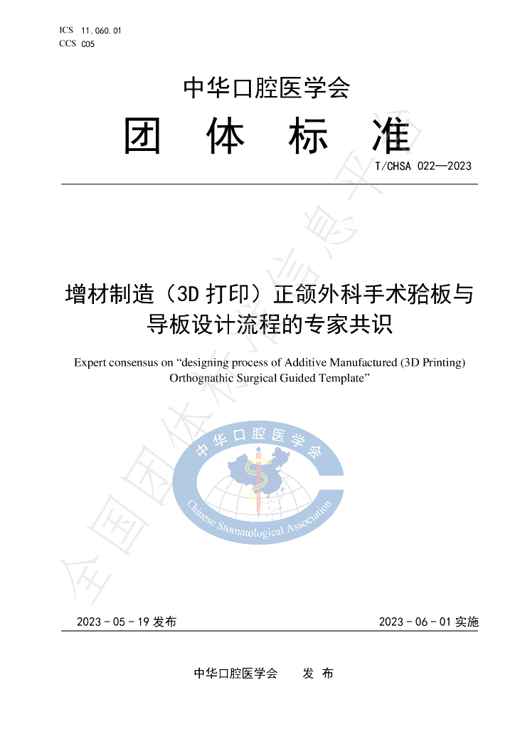 T/CHSA 022-2023 标准预览