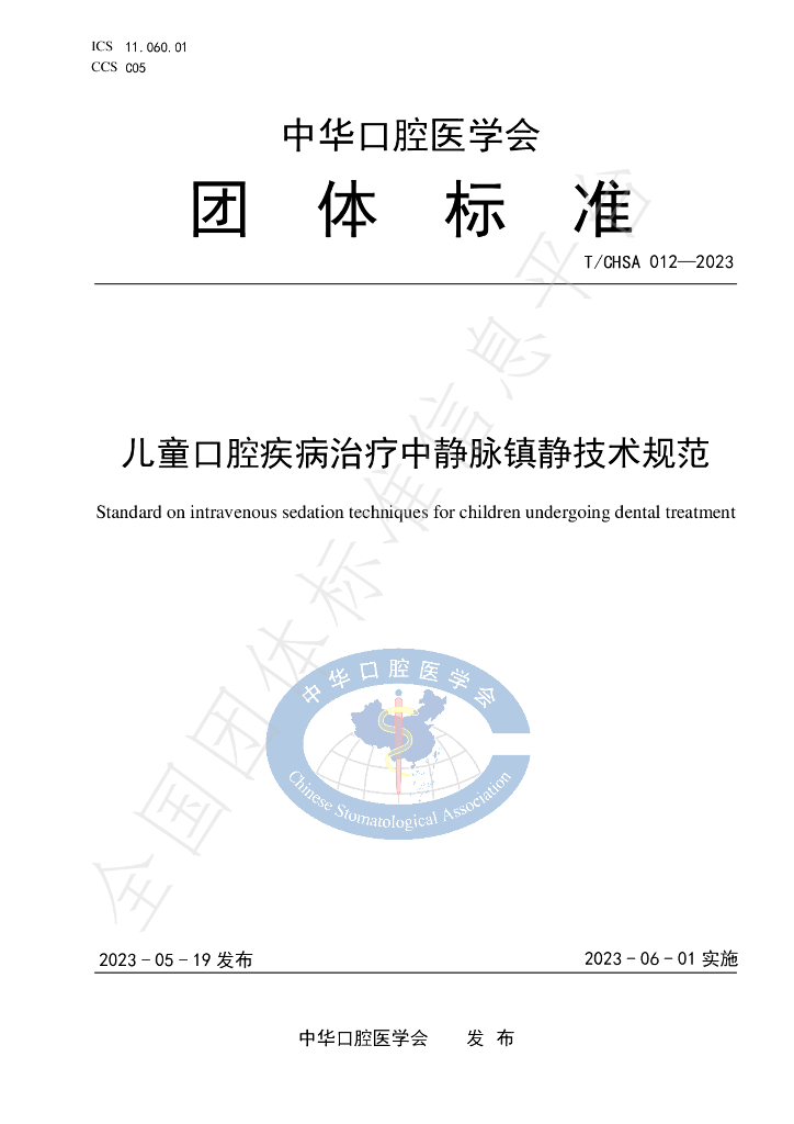 T/CHSA 012-2023 标准预览