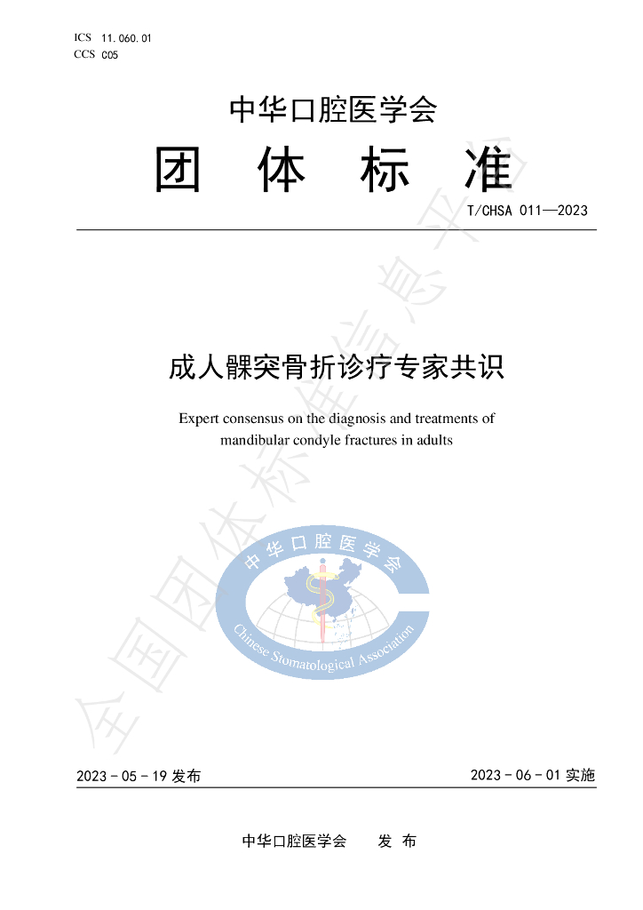 T/CHSA 011-2023 标准预览