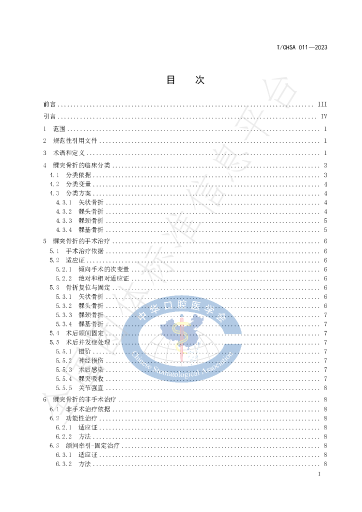 T/CHSA 011-2023 标准预览