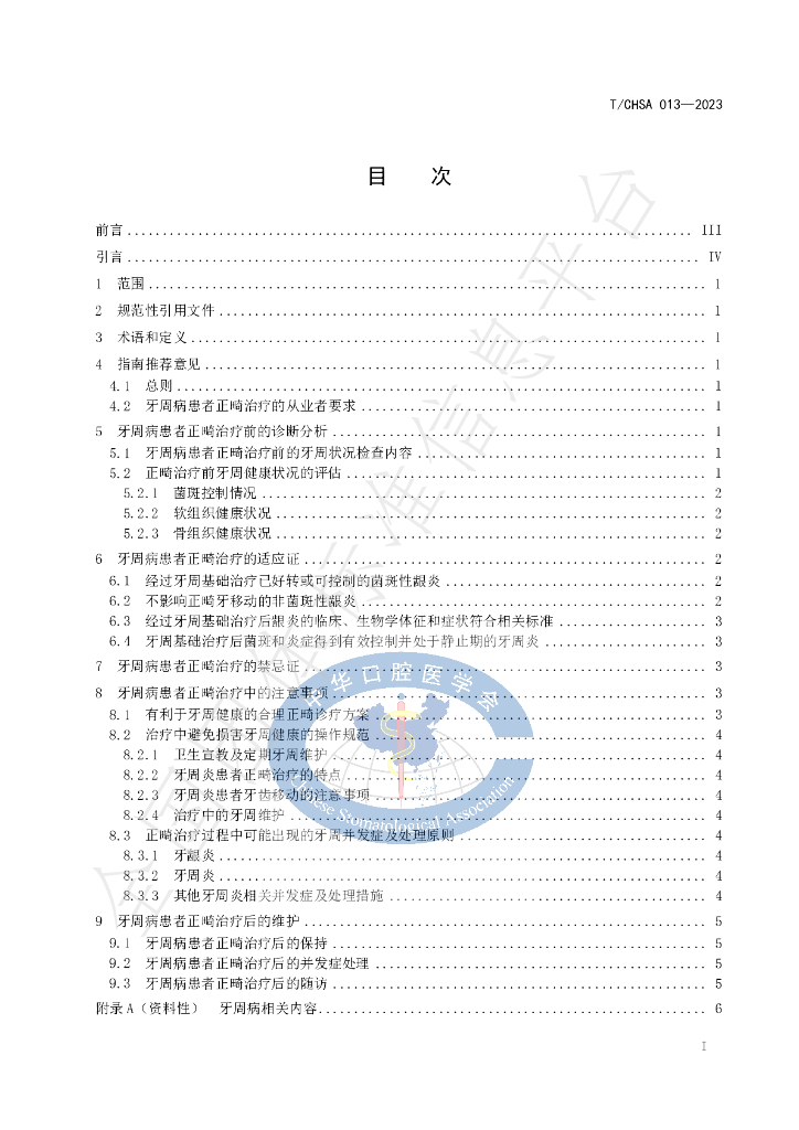 T/CHSA 013-2023 标准预览