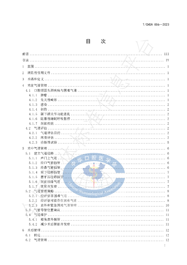 T/CHSA 007-2023 标准预览