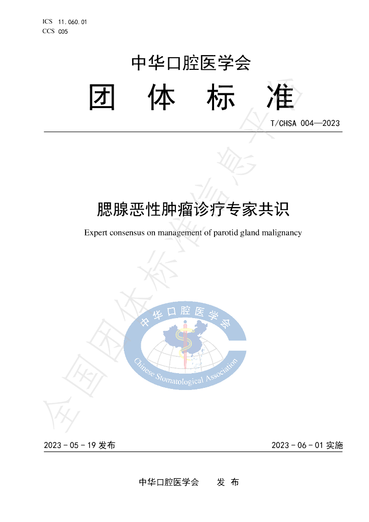 T/CHSA 004-2023 标准预览