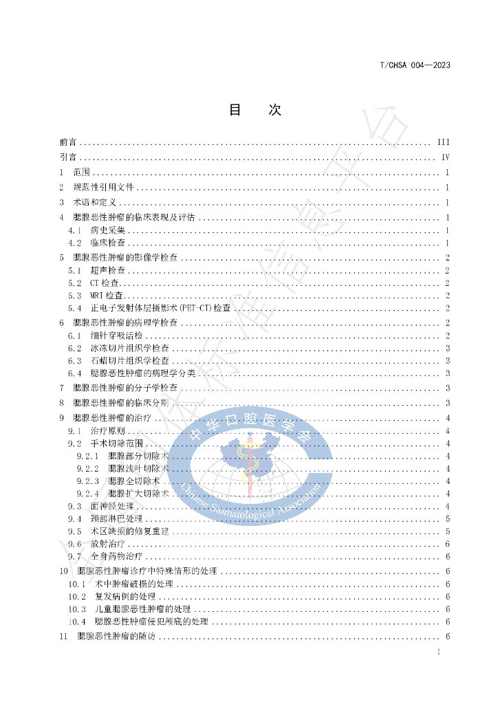 T/CHSA 004-2023 标准预览