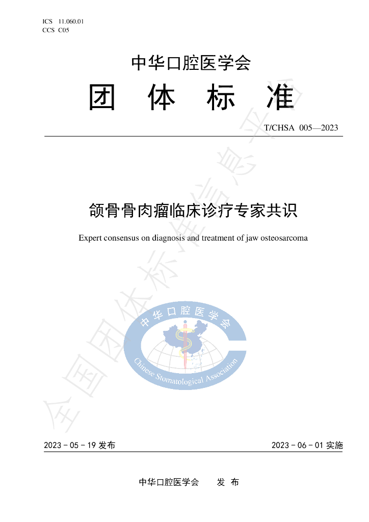 T/CHSA 005-2023 标准预览