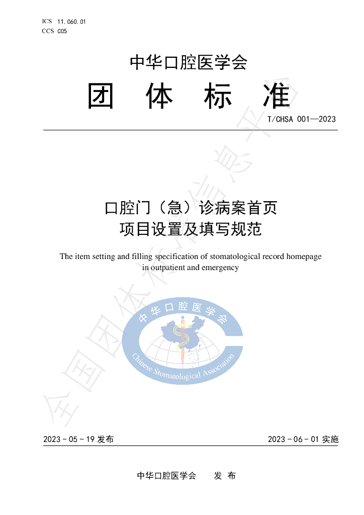 T/CHSA 001-2023 标准预览