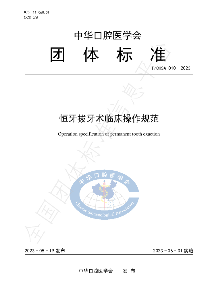 T/CHSA 010-2023 标准预览