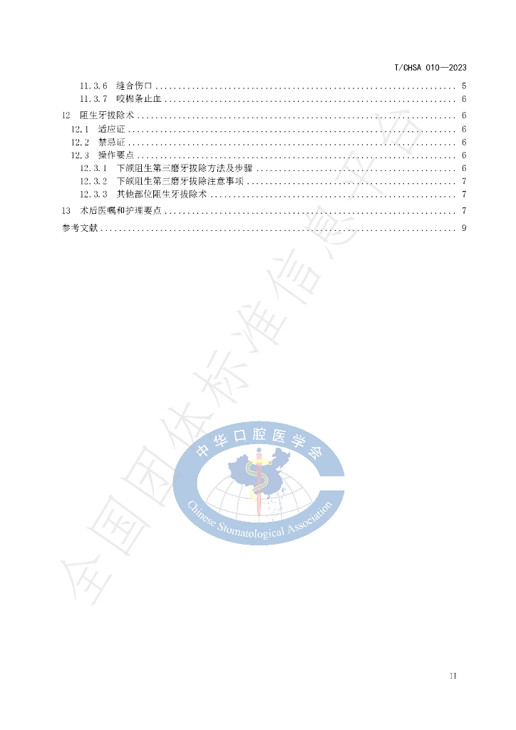 T/CHSA 010-2023 标准预览