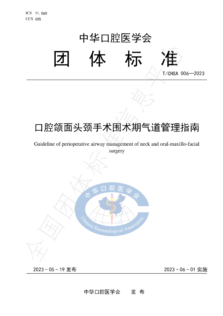 T/CHSA 006-2023 标准预览